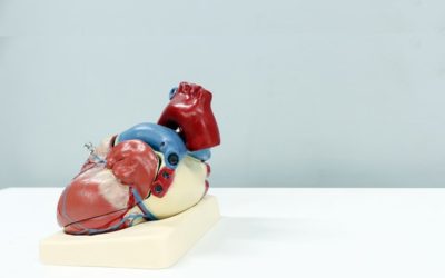Cinq faits sur la santé cardiovasculaire